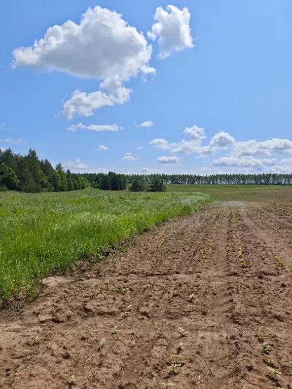 Участок в Татарстан, Рыбно-Слободский район, Балыклы-Чукаевское с/пос, ... - Фото 1