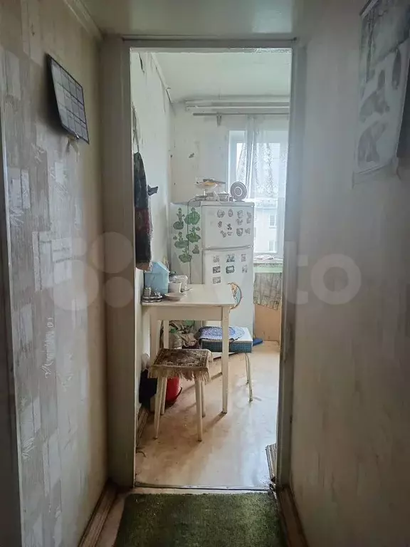 1-к. квартира, 31 м, 5/5 эт. - Фото 1