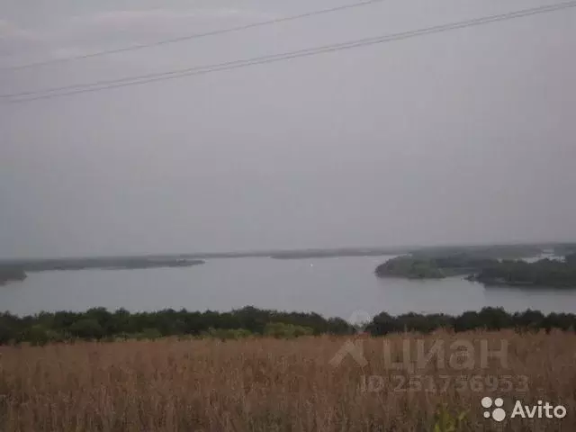 Участок в Самарская область, Богатое с/пос, с. Богатое ул. Спортивная ... - Фото 1