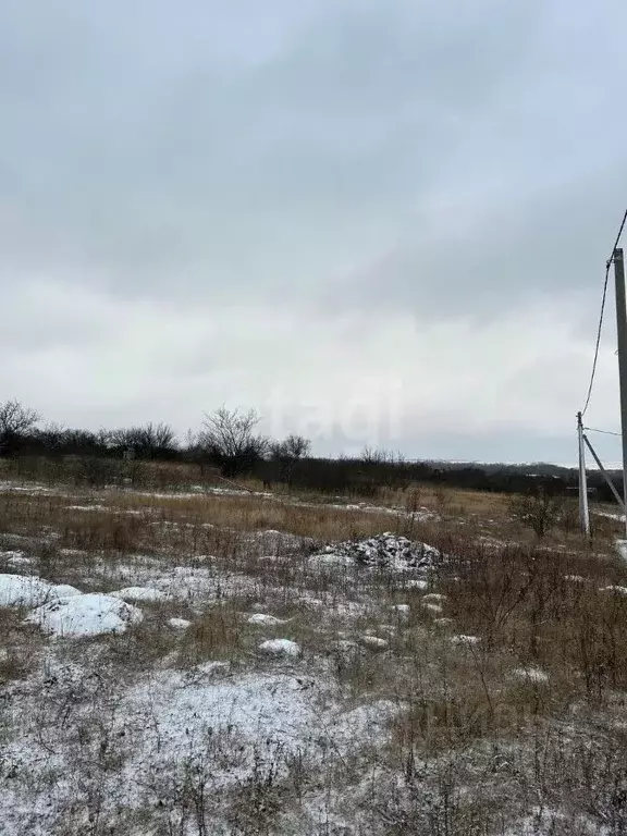 Участок в Белгородская область, Вейделевка городское поселение, ... - Фото 1