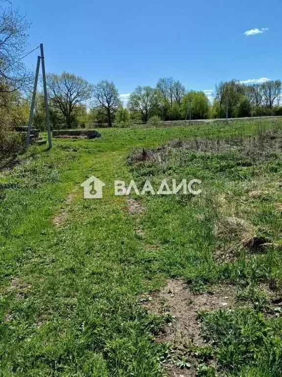 Участок в Владимирская область, Суздальский район, с. Новоалександрово ... - Фото 0