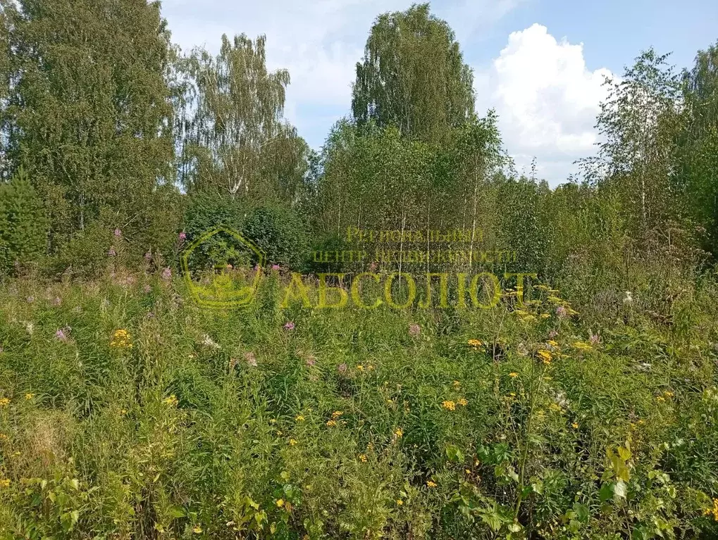Участок в Свердловская область, Дегтярск ул. Рябиновая (13.0 сот.) - Фото 2