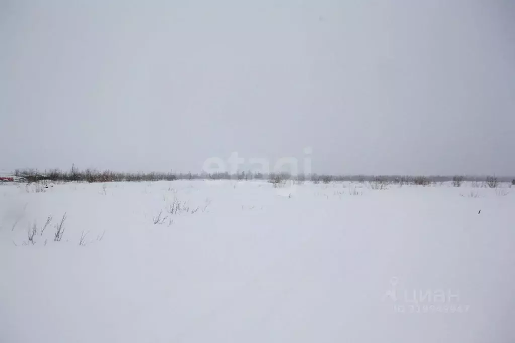Участок в Ямало-Ненецкий АО, Новый Уренгой  (6.0 сот.) - Фото 0