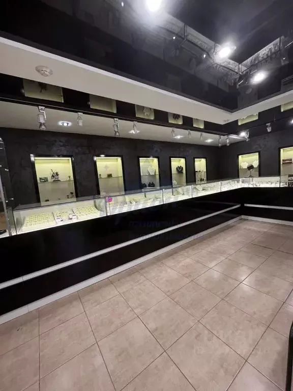 Помещение свободного назначения в Нижегородская область, Богородск ул. ... - Фото 1