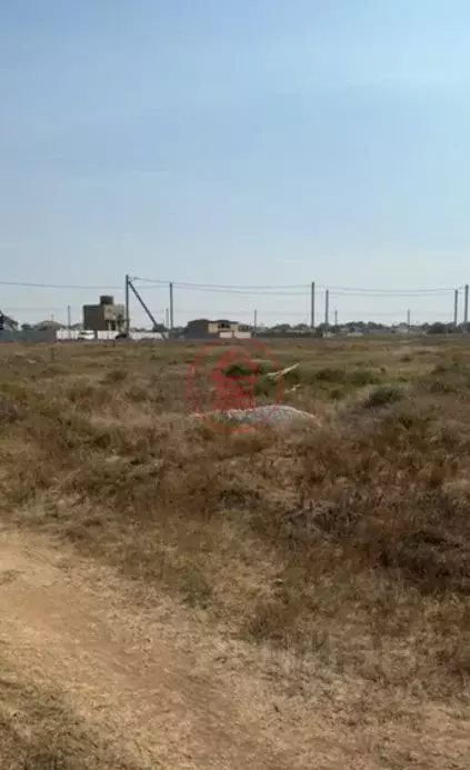 Участок в Крым, Сакский район, с. Штормовое ул. Гагарина, 1 (6.0 сот.) - Фото 2