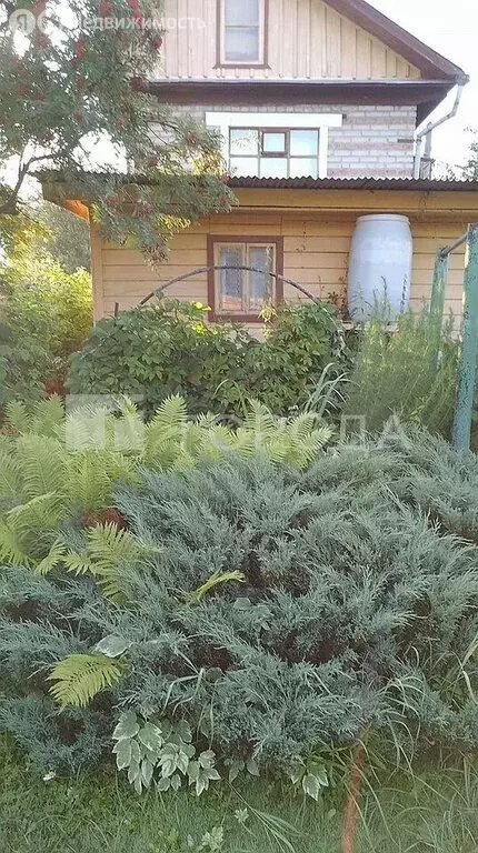 Дом в Станционный сельсовет, СТ Голубые Озёра, Большая аллея, 21 (50 ... - Фото 1
