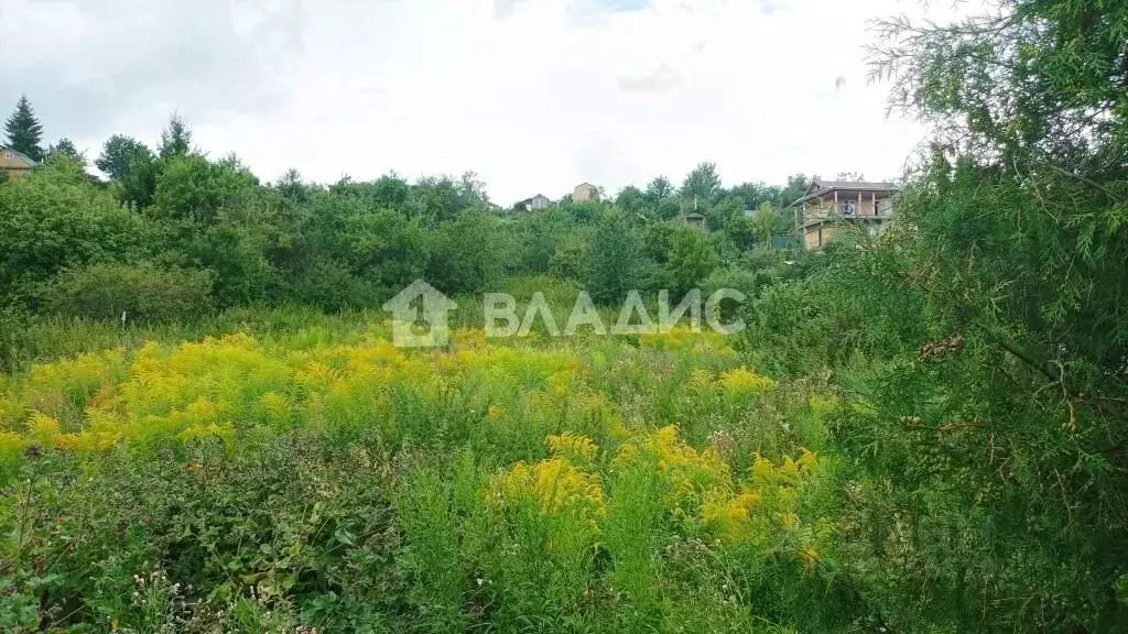 Дом в Владимирская область, Суздальский район, пос. Боголюбово ул. ... - Фото 0