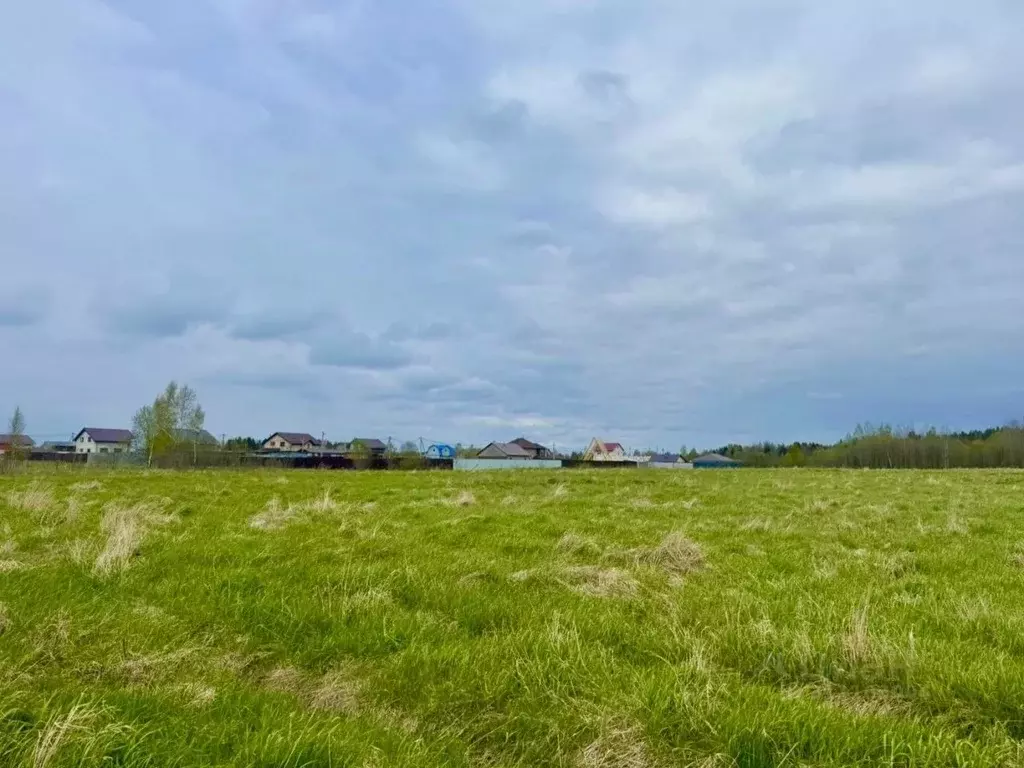 Участок в Ленинградская область, Лужский район, Заклинское с/пос, д. ... - Фото 1