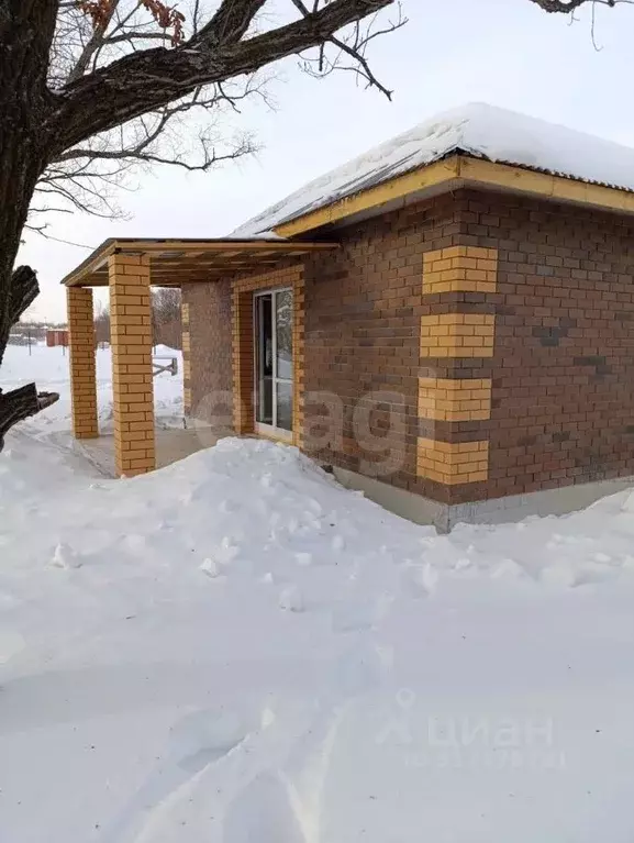 Дом в Амурская область, Благовещенский район, с. Кантон-Коммуна  (75 ... - Фото 0