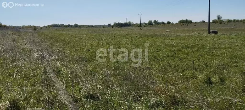 Участок в Калининградская область, Зеленоградский муниципальный округ, ... - Фото 2