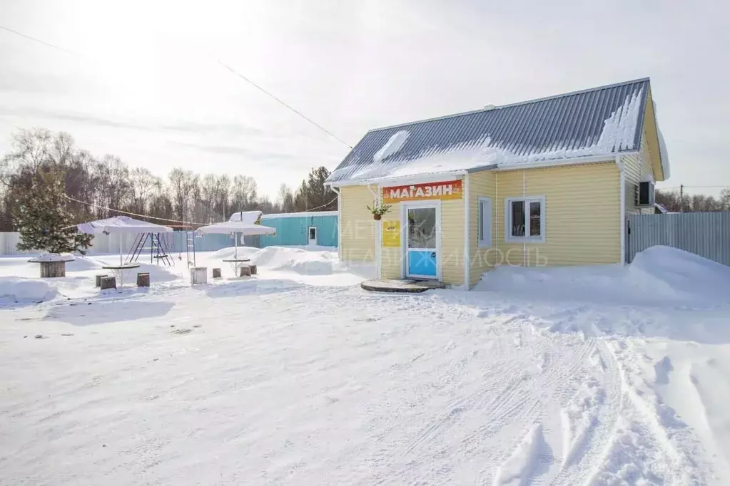 Торговая площадь в Тюменская область, Тюмень Якорь садовое ... - Фото 1