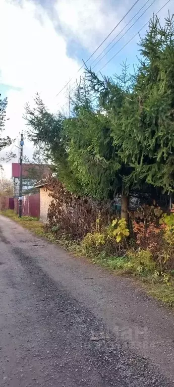 Участок в Ленинградская область, Ломоносовский район, Виллозское ... - Фото 2