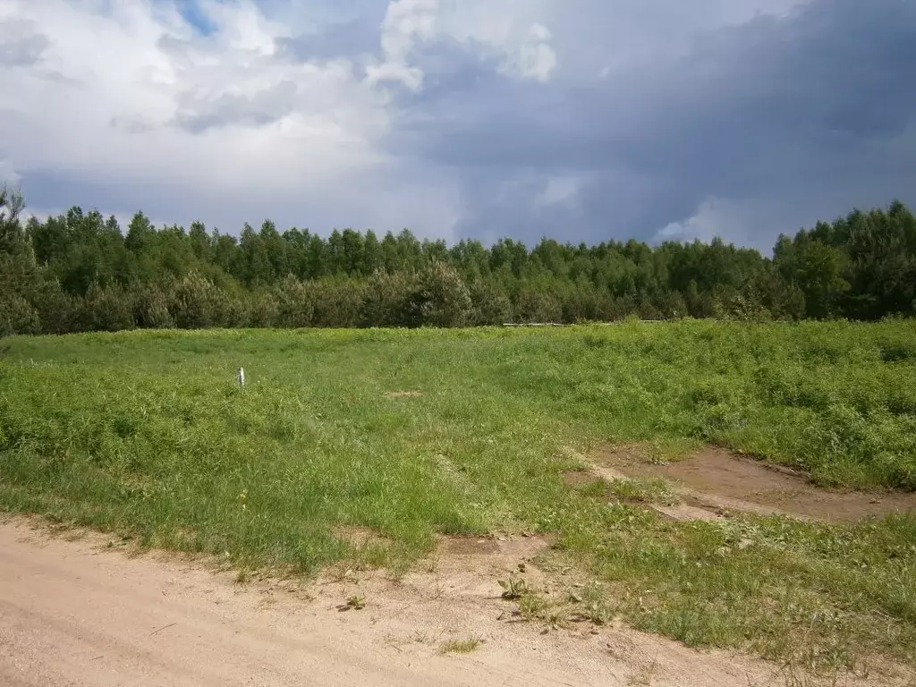 Участок в Новгородская область, Валдайский район, Едровское с/пос, д. ... - Фото 1