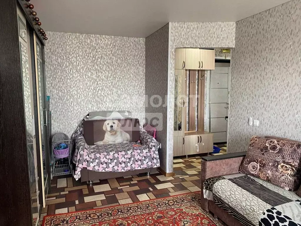 1-к кв. Челябинская область, Челябинск Вязовая ул., 31 (29.6 м) - Фото 1