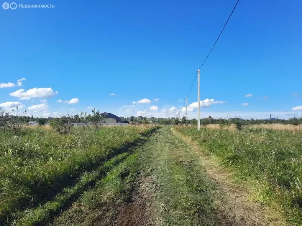 Участок в Калининградская область, Гурьевский муниципальный округ, ... - Фото 0
