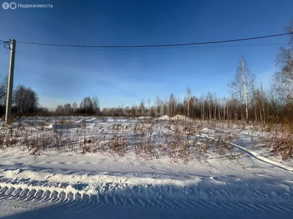 Участок в Новосибирский район, Барышевский сельсовет, посёлок Двуречье ... - Фото 1