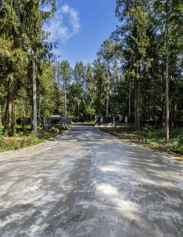 Участок в Московская область, Дмитровский муниципальный округ, д. ... - Фото 1