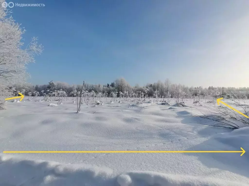 Участок в Вындиноостровское сельское поселение, деревня Чажешно, ... - Фото 2