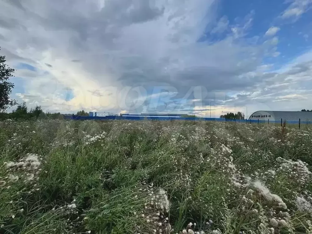 Участок 11,1 сот. (ИЖС) - Фото 1