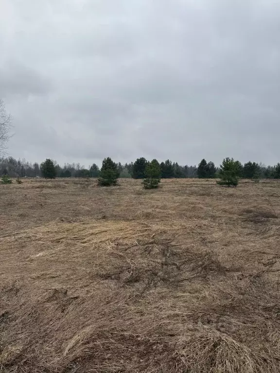 Участок в Московская область, Орехово-Зуевский городской округ, д. ... - Фото 1