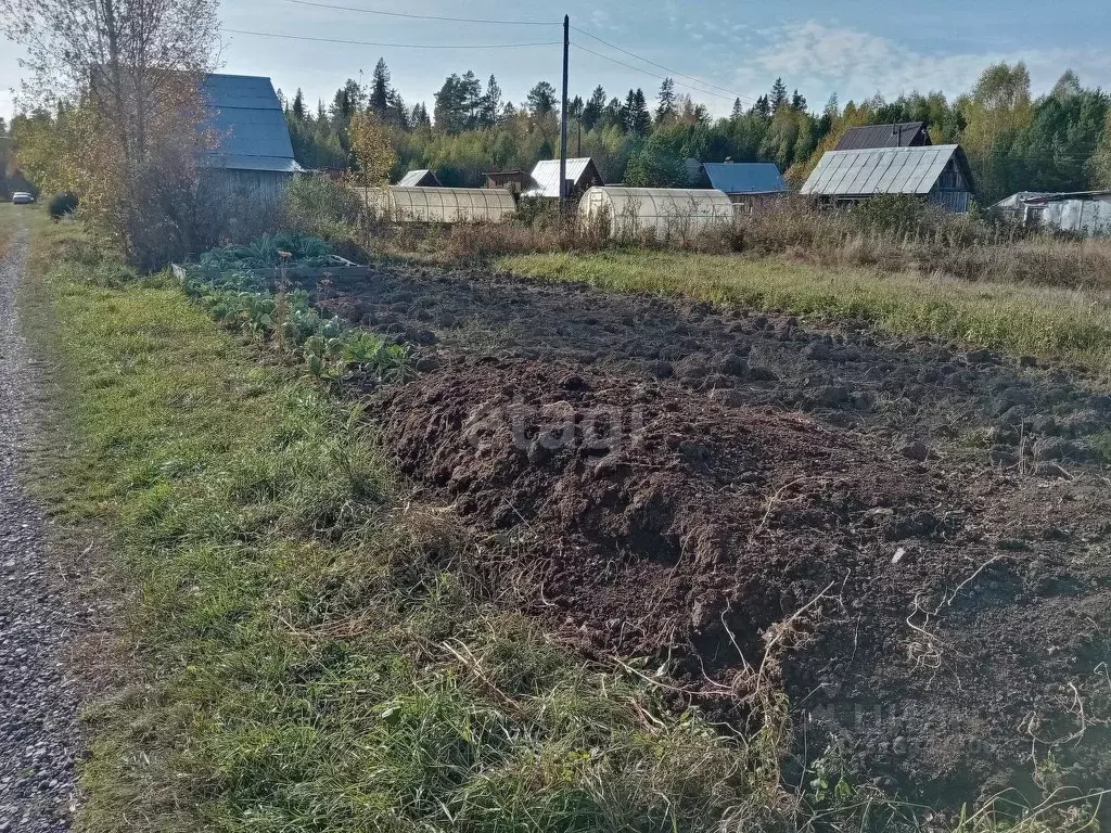 Участок в Свердловская область, Невьянский муниципальный округ, № 2 ... - Фото 0