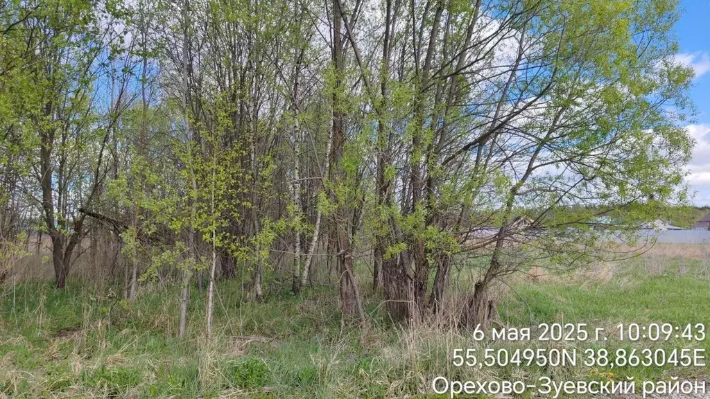Участок в Московская область, Орехово-Зуевский городской округ, д. ... - Фото 0