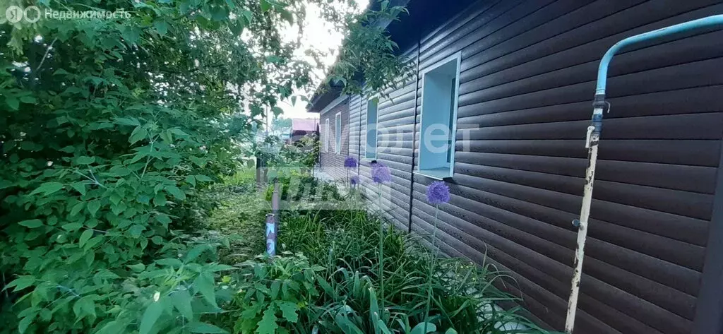 Дом в село Порошино, Школьная улица, 10 (38 м) - Фото 0