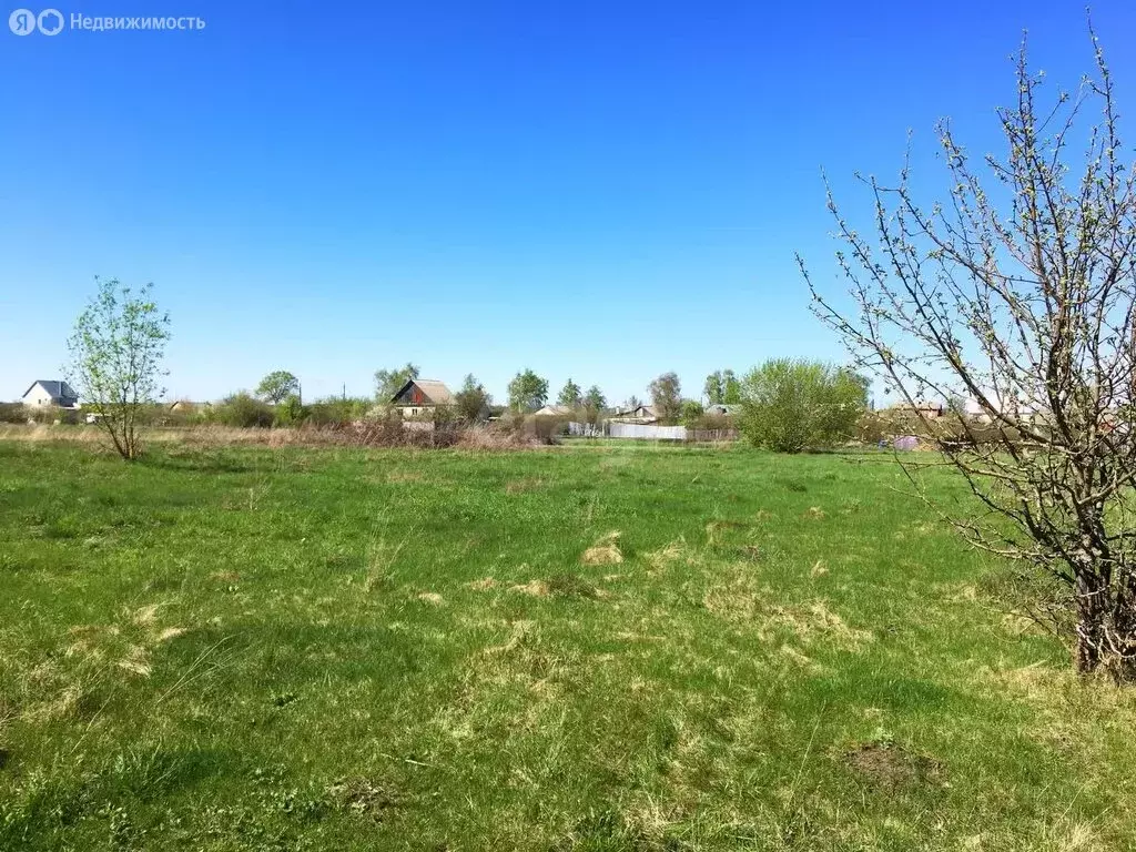 Участок в деревня Николаевка, улица Тамары Дерунец (20 м) - Фото 1
