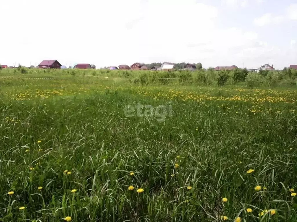 Участок в Томский район, деревня Лязгино (14.9 м) - Фото 0