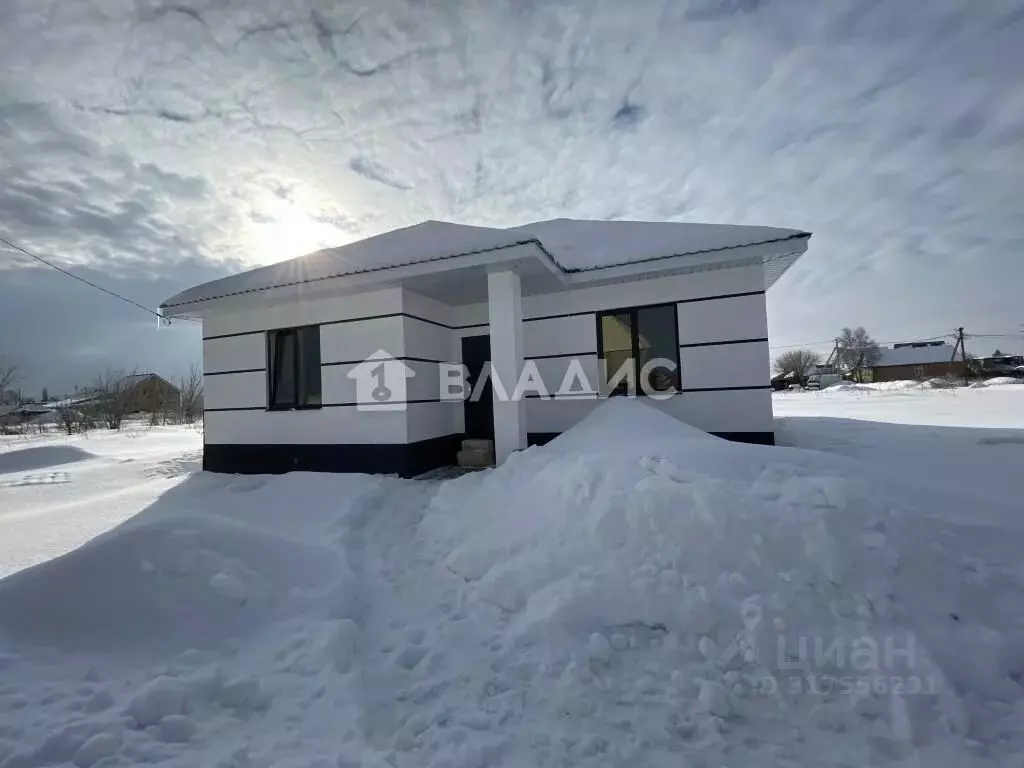Дом в Пензенская область, с. Бессоновка ул. Шолохова (90 м) - Фото 0