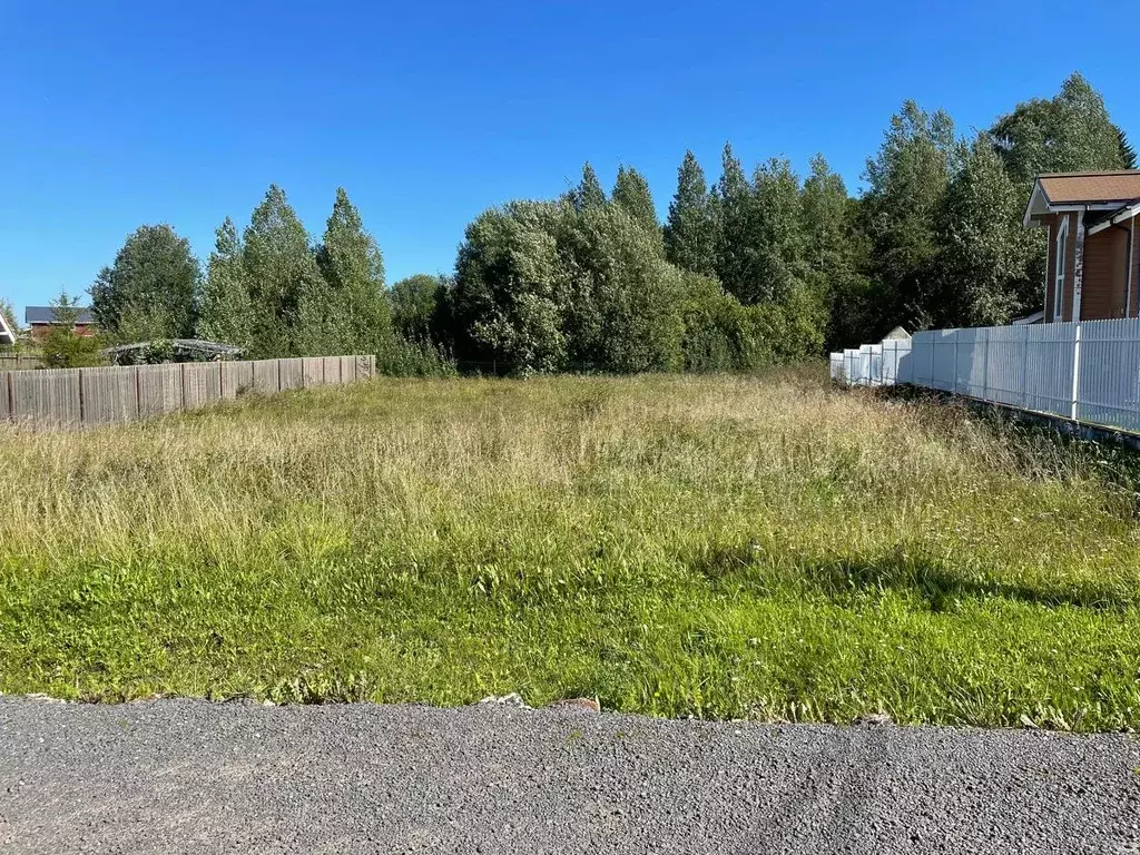 Участок в Ленинградская область, Ломоносовский район, Гостилицкое ... - Фото 2