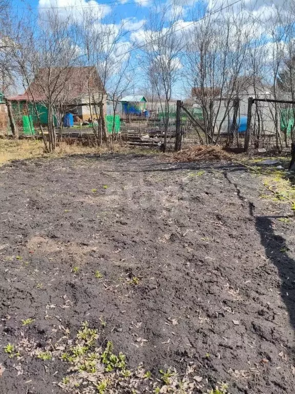 Дом в Курганская область, Шадринск Завода Полиграфических Машин 1 СНТ, ... - Фото 0