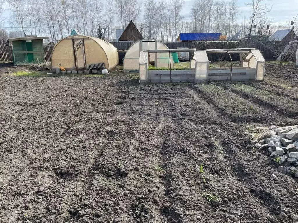 Дом в Ишимский район, садовое общество Приишимский (24 м) - Фото 0