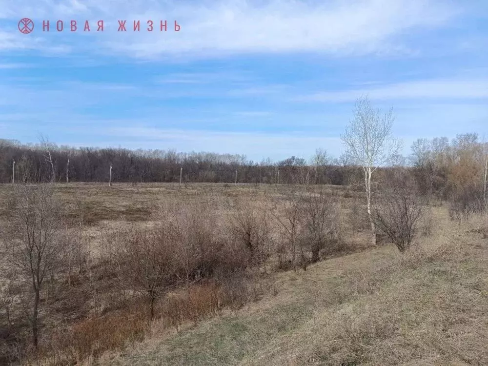 Участок в Самарская область, Самара  (73.0 сот.) - Фото 2