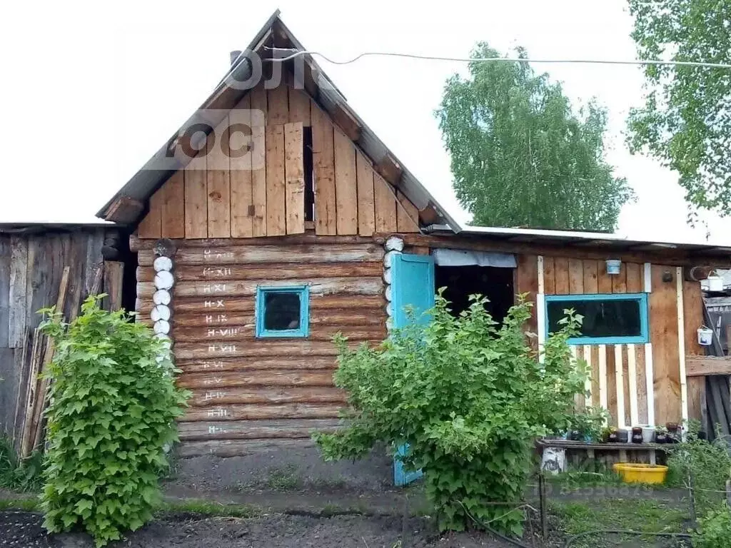 Дом в Кемеровская область, Юргинский район, д. Макурино Молодежная ул. ... - Фото 1