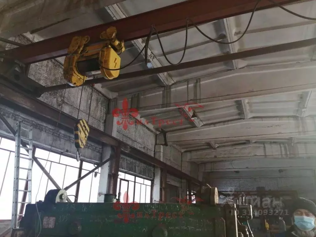 Производственное помещение в Белгородская область, Шебекинский ... - Фото 1