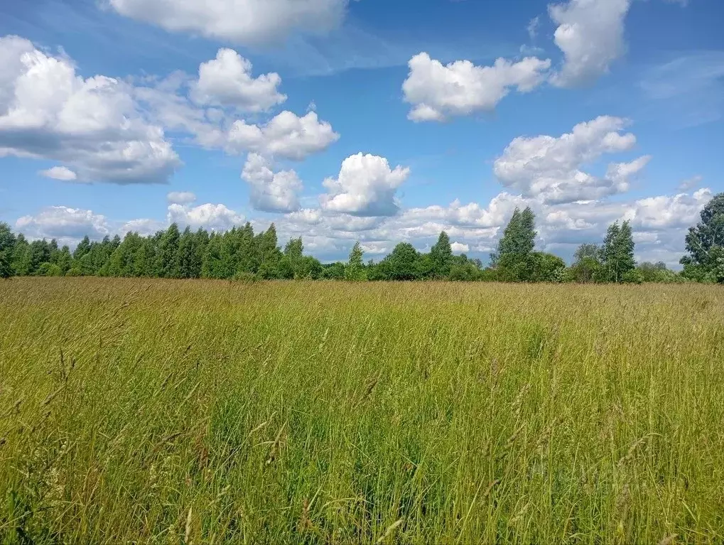 Участок в Московская область, Талдомский городской округ, д. Костино ... - Фото 1