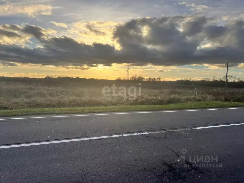 Участок в Калининградская область, Гурьевский муниципальный округ, ... - Фото 1