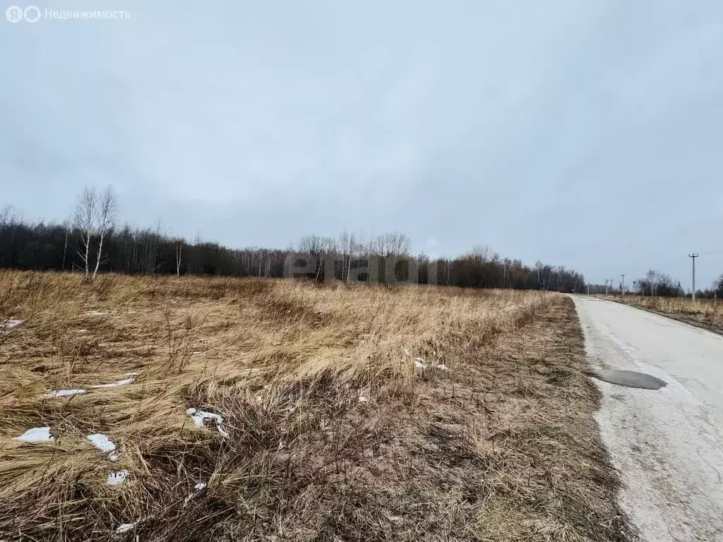 Участок в Тульская область, городской округ Тула, деревня Сергеево (8 ... - Фото 1