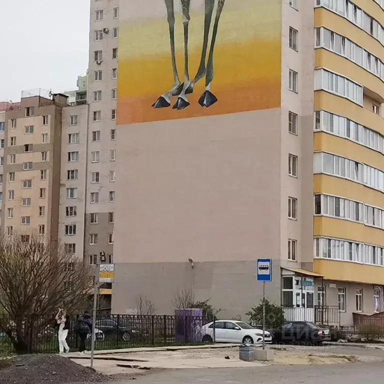 Помещение свободного назначения в Санкт-Петербург пос. Шушары, ул. ... - Фото 1