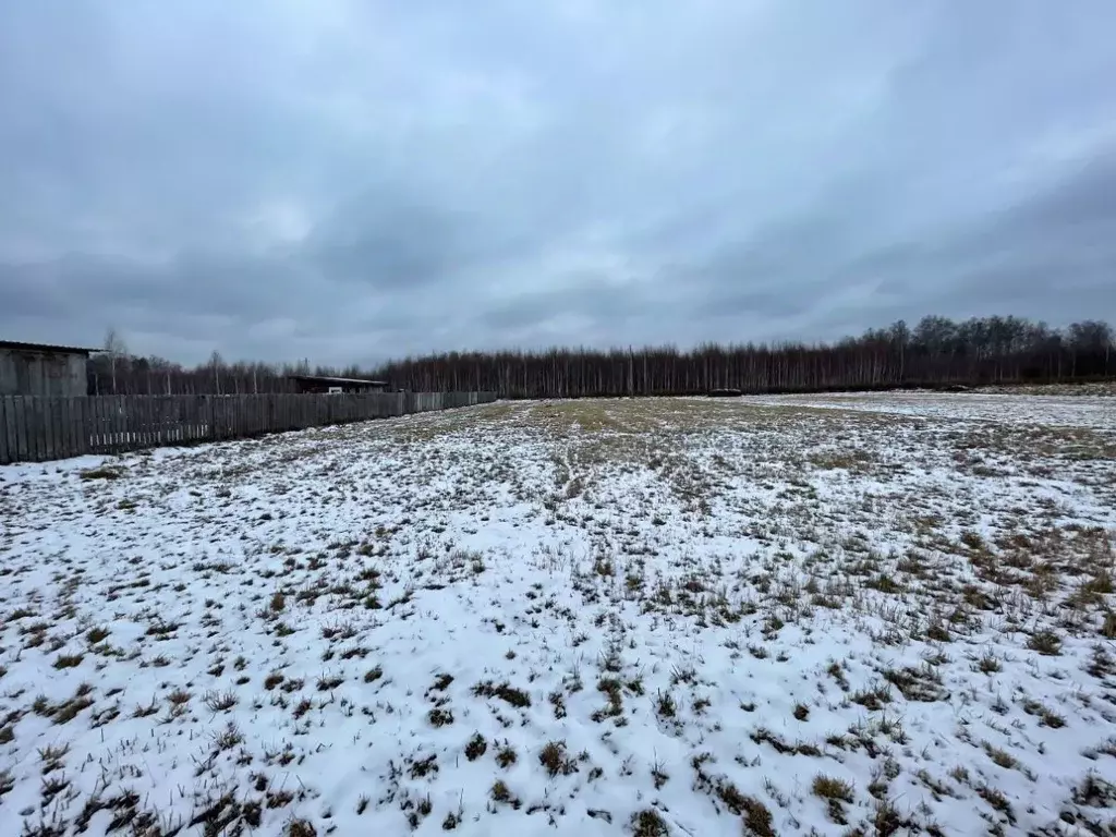 Участок в Нижегородская область, Городецкий муниципальный округ, д. ... - Фото 2