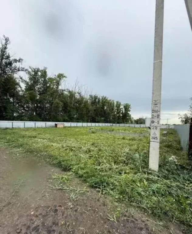 Участок в Омская область, Омский район, пос. Новоомский  (12.0 сот.) - Фото 2