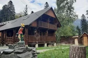 Дом в Карачаево-Черкесия, Зеленчукский район, с. Архыз ул. Алиева, 7Н ... - Фото 0
