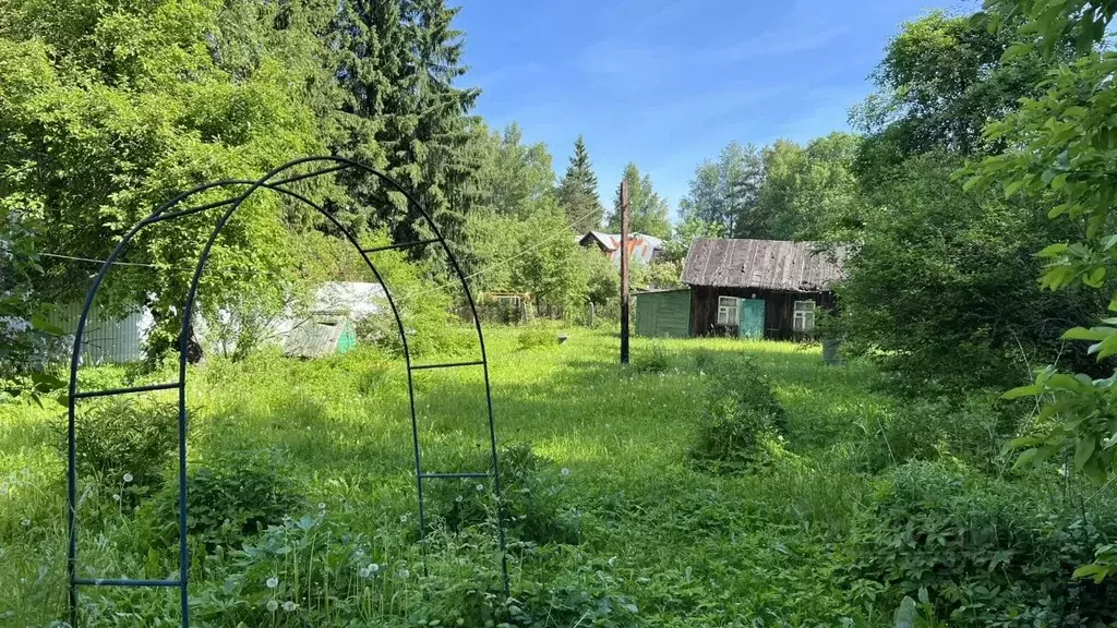 Участок в Московская область, Дмитровский муниципальный округ, ... - Фото 1