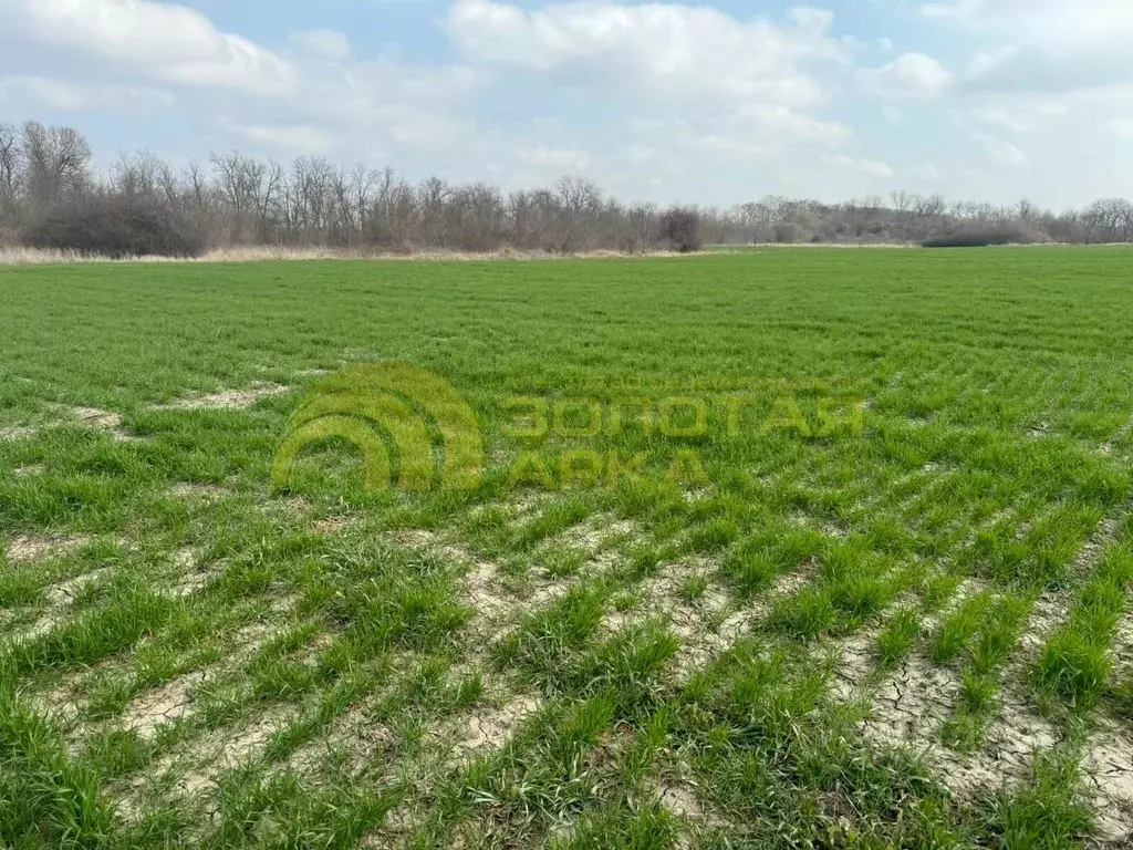 Участок в Краснодарский край, Темрюк Северные Сады потребительский ... - Фото 1