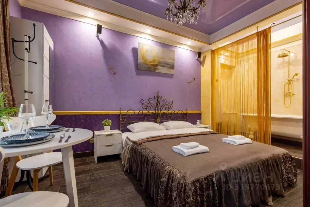 1-к кв. Санкт-Петербург Казанская ул., 41В (20.0 м) - Фото 0