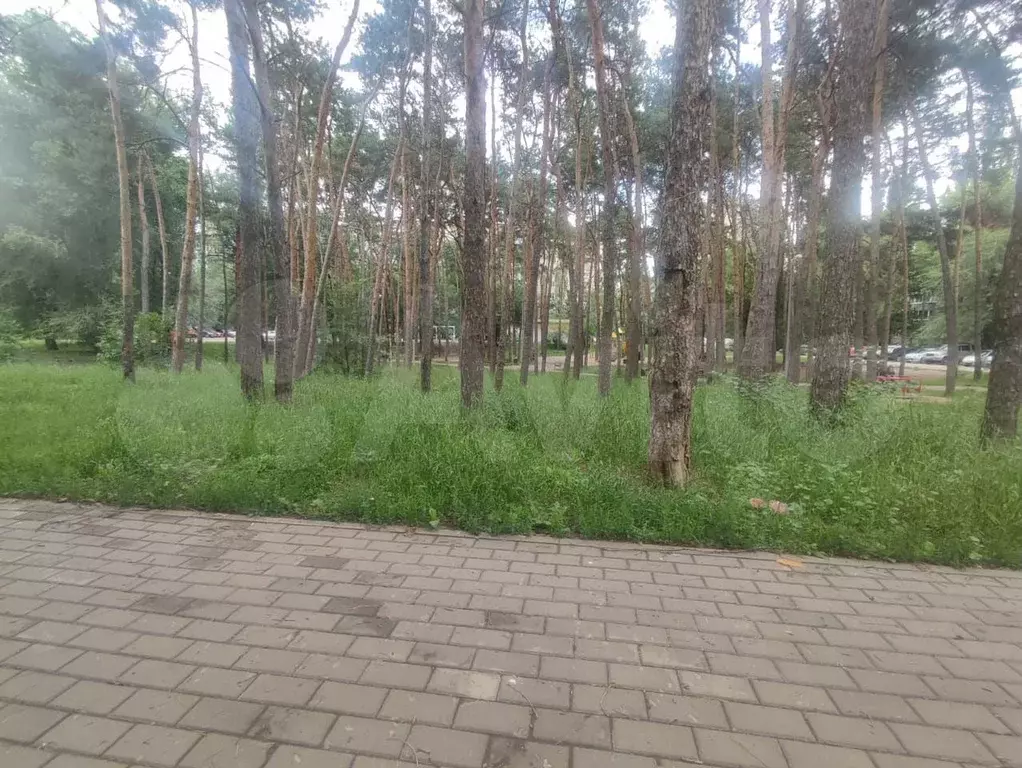 1-к. квартира, 18,2 м, 2/5 эт. - Фото 0