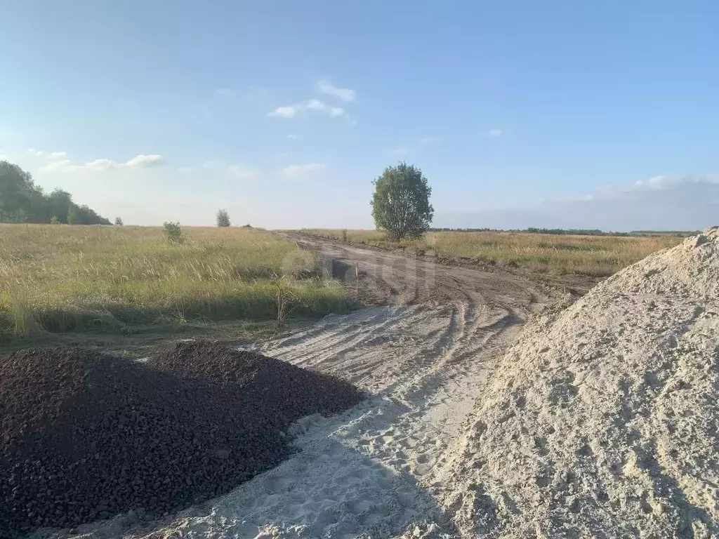 Участок в Курская область, Курский район, Нижнемедведицкий сельсовет, ... - Фото 0