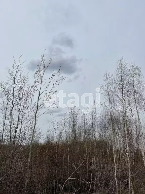 Участок в Ярославская область, Ярославль Липовая Гора жилрайон, ул. ... - Фото 0