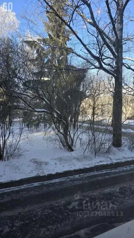 1-к кв. Санкт-Петербург, Санкт-Петербург, Пушкин Магазейная ул., 9 ... - Фото 2